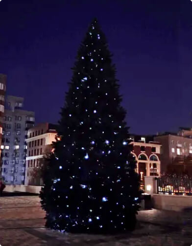Twinkling Lights