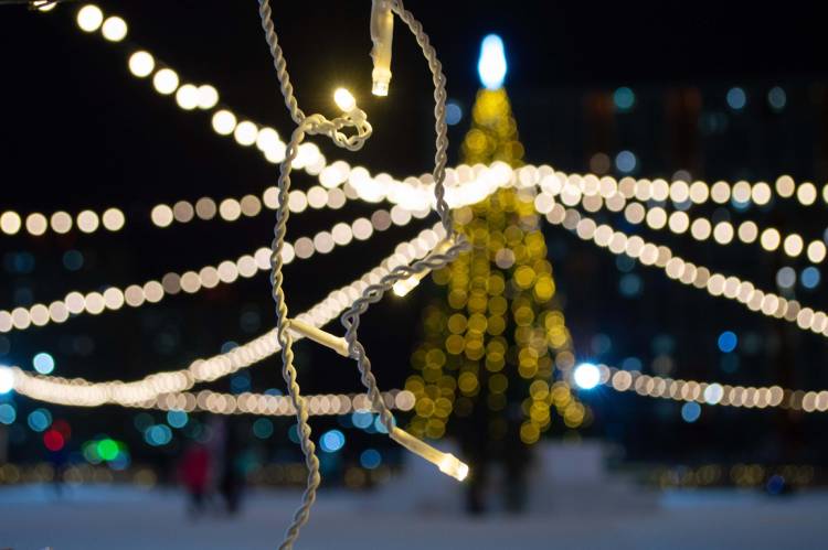 Für Weihnachtsbäume im Freien