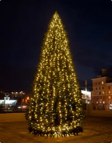 Warm Lights